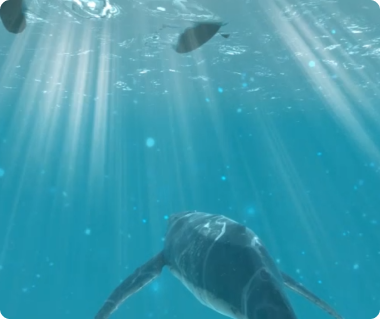 울주 대곡리 반구대 암각화 VR컨텐츠 제작 용역 고래사냥